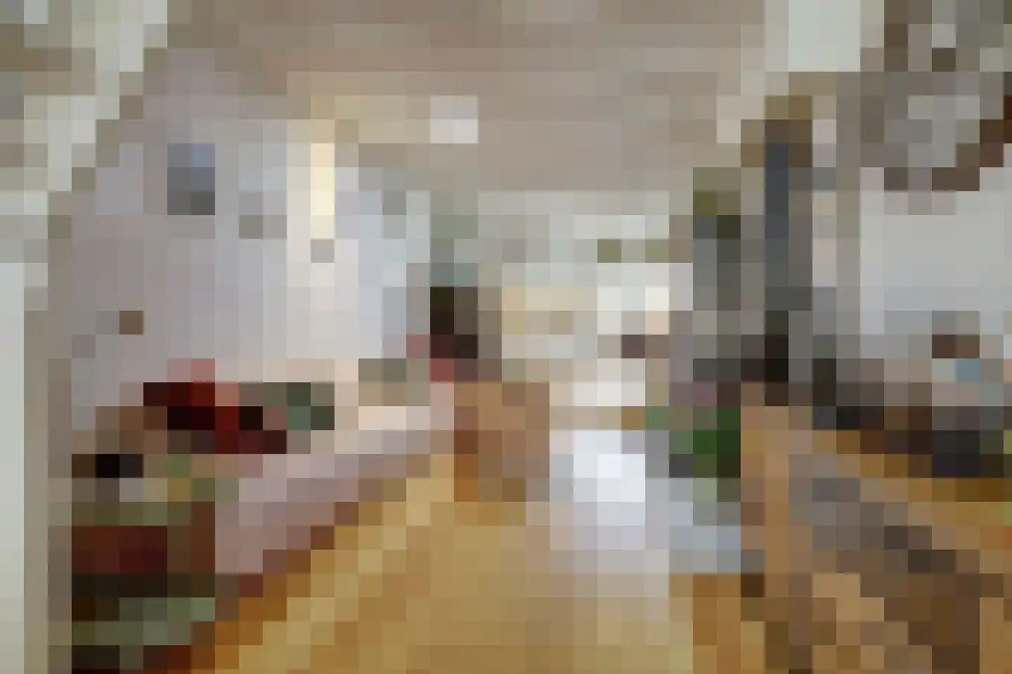 Sint Domusstraat 96 Zierikzee thumbnail 10