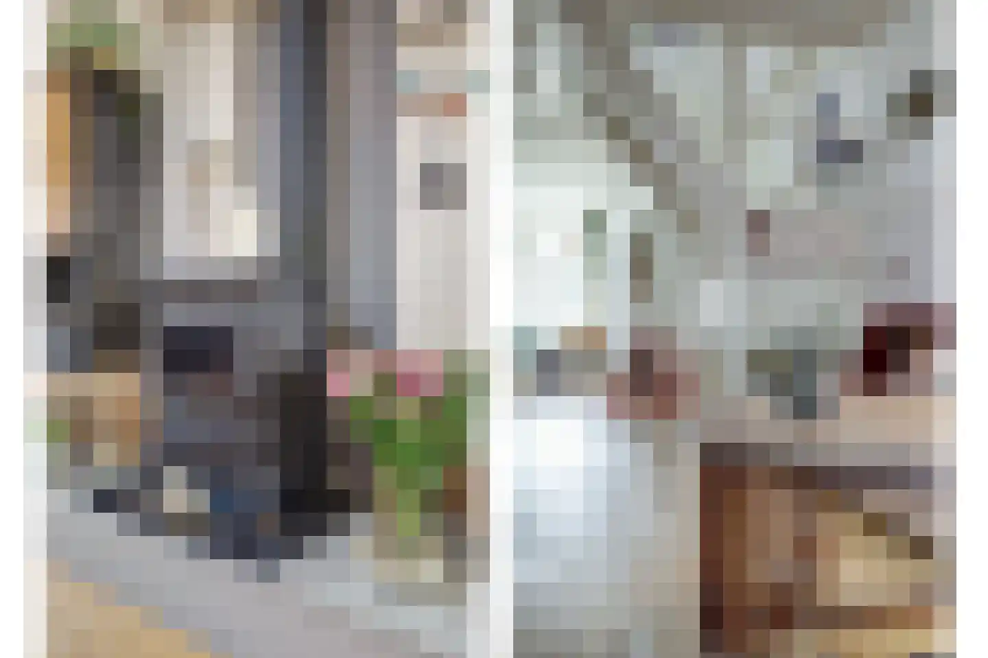 Sint Domusstraat 96 Zierikzee thumbnail 11