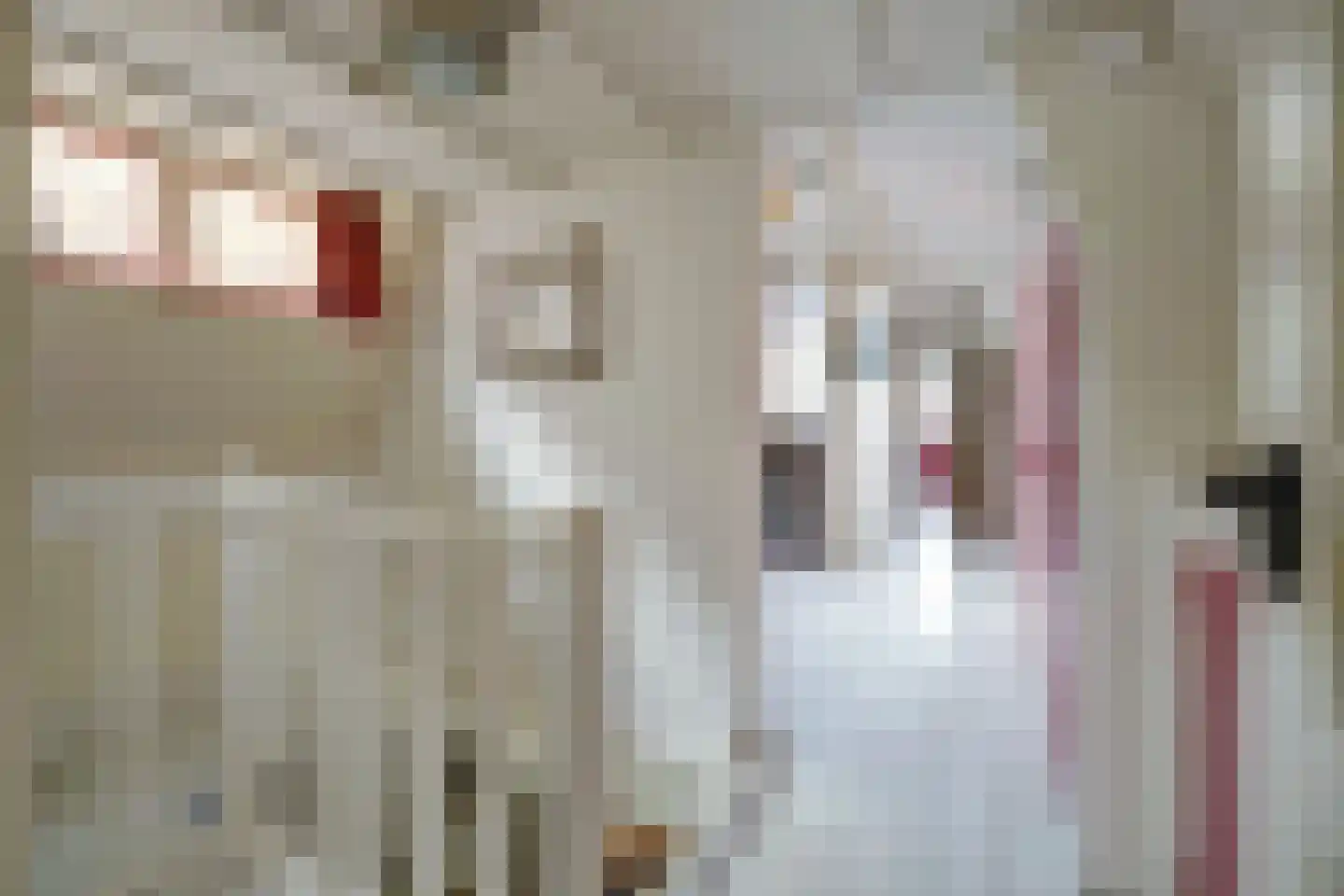 Sint Domusstraat 96 Zierikzee thumbnail 15