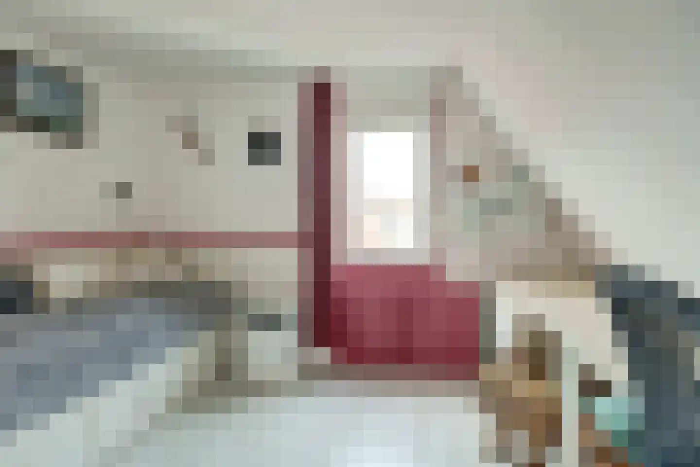 Sint Domusstraat 96 Zierikzee thumbnail 18