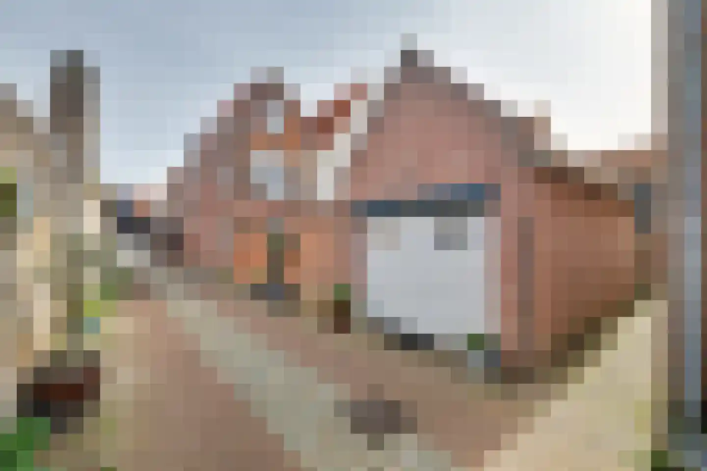 Sint Domusstraat 96 Zierikzee foto 2