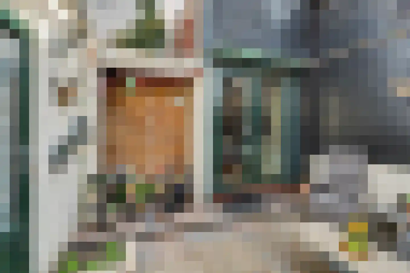 Sint Domusstraat 96 Zierikzee thumbnail 23