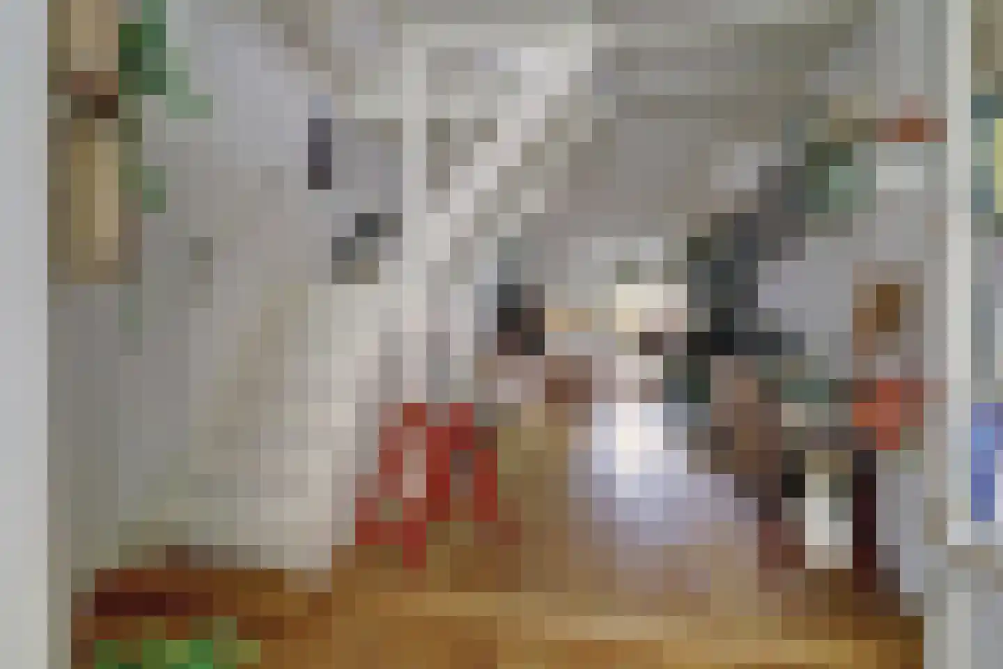 Sint Domusstraat 96 Zierikzee thumbnail 7