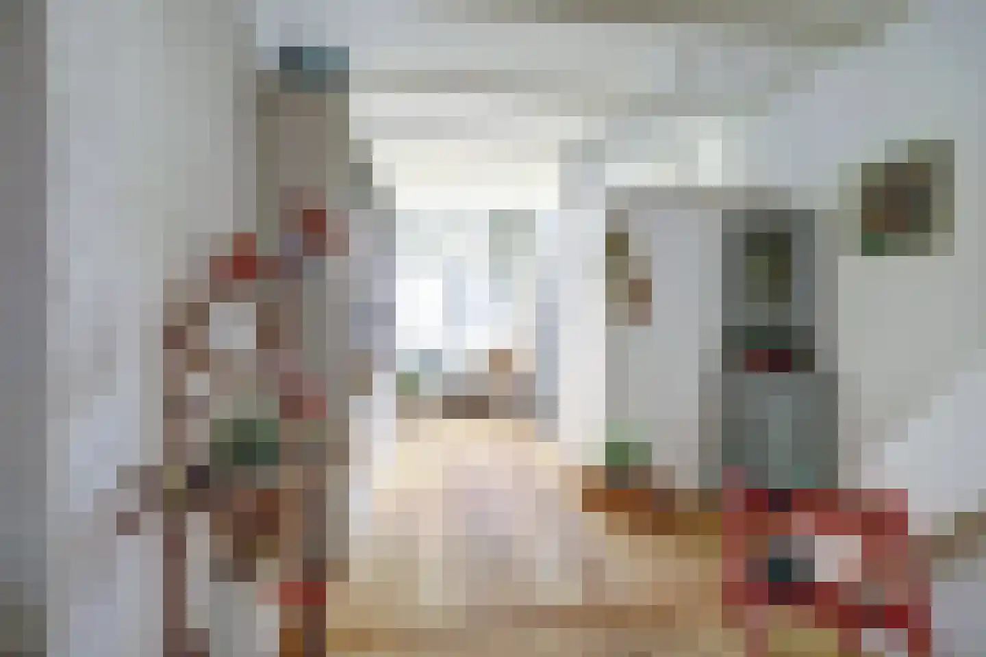 Sint Domusstraat 96 Zierikzee thumbnail 8