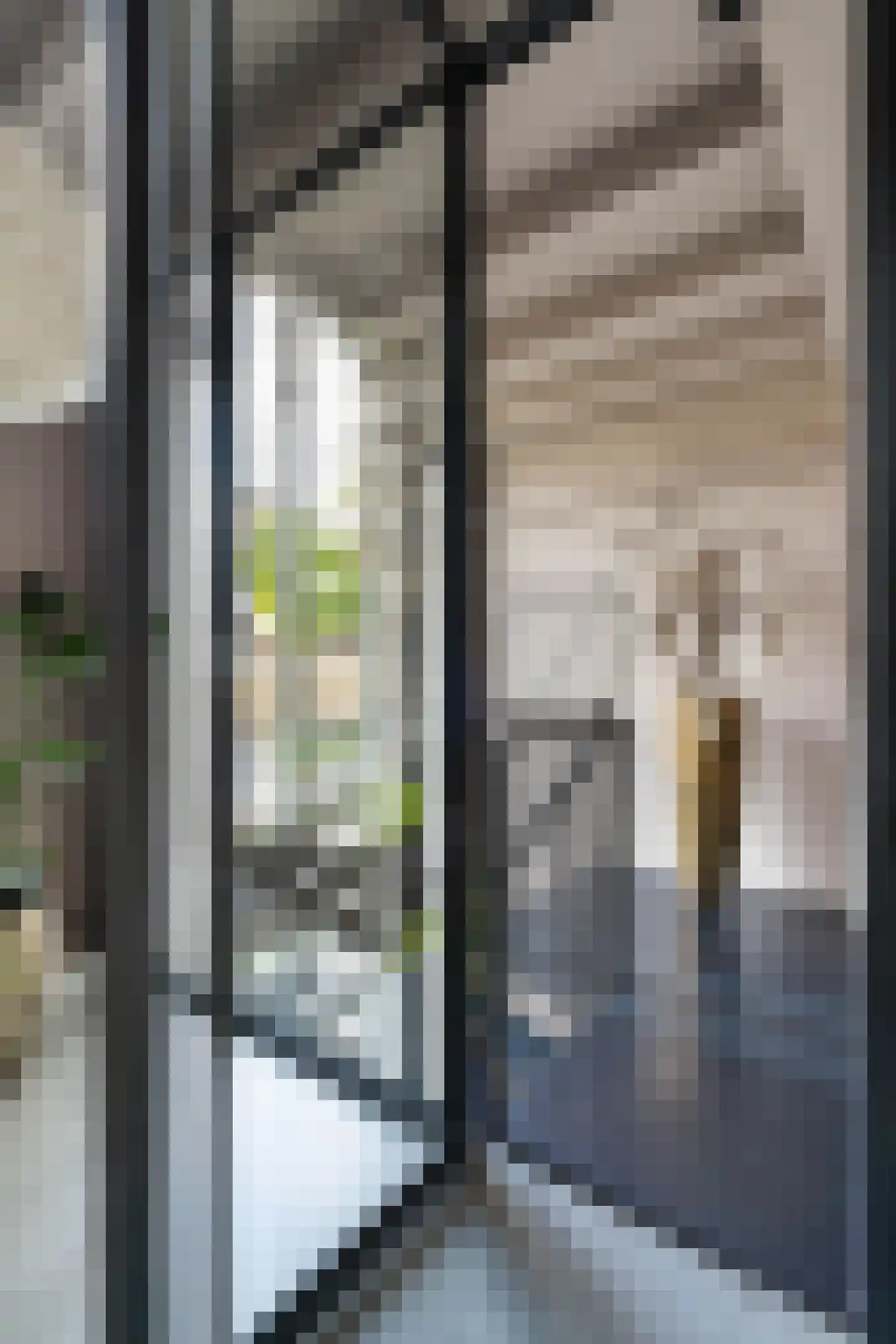 Sint Donatuskapelstraat 18 Weert thumbnail 45
