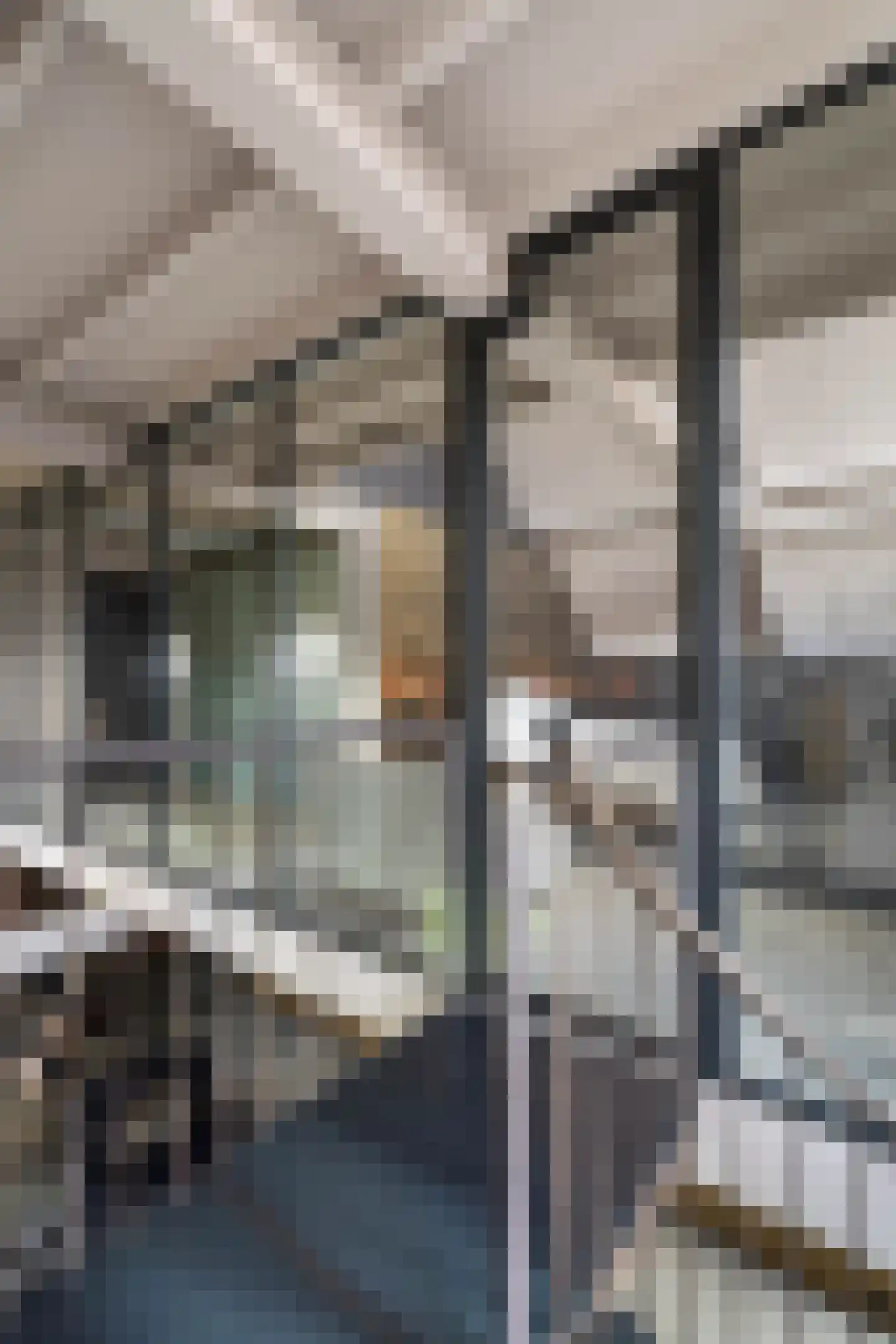 Sint Donatuskapelstraat 18 Weert thumbnail 46