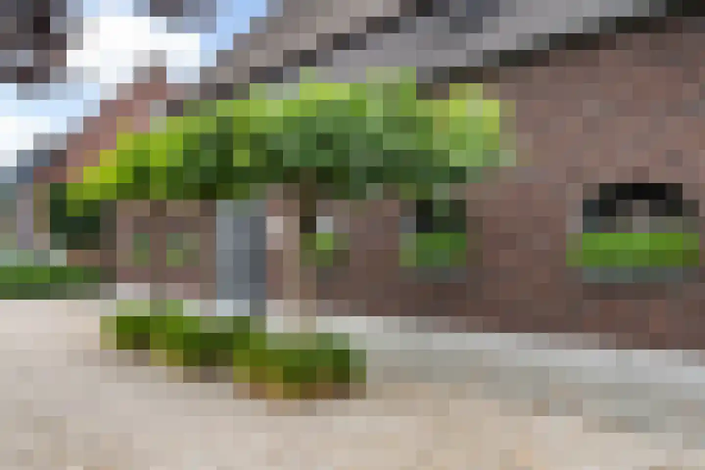 Sint Donatuskapelstraat 18 Weert thumbnail 8