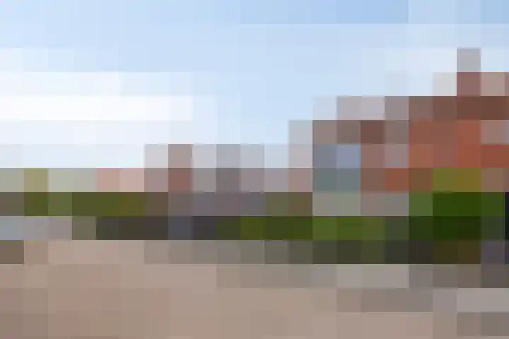 Sint Elisabethstraat 8 Zevenbergen thumbnail 4