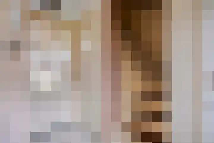 Sint Elisabethstraat 8 Zevenbergen thumbnail 6