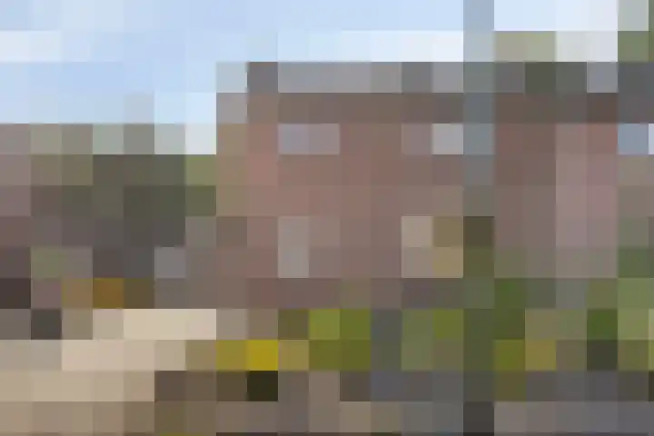 Sint Eloystraat 4 Budel-Dorplein thumbnail 20