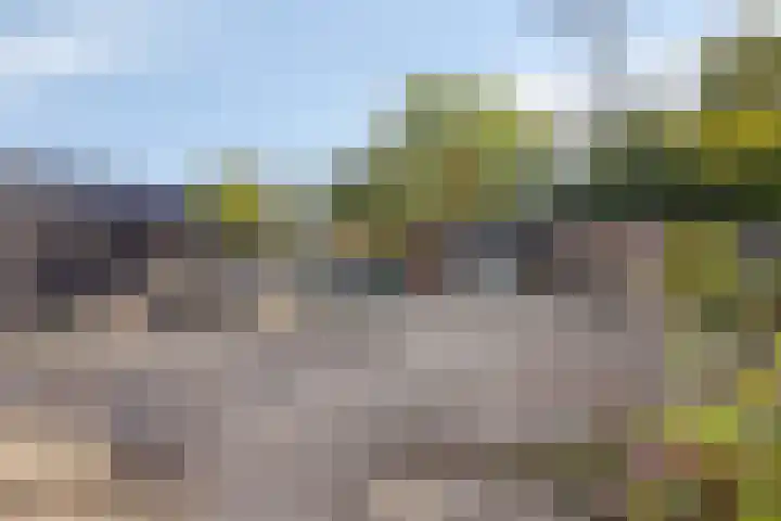 Sint Eloystraat 8 Budel-Dorplein thumbnail 5
