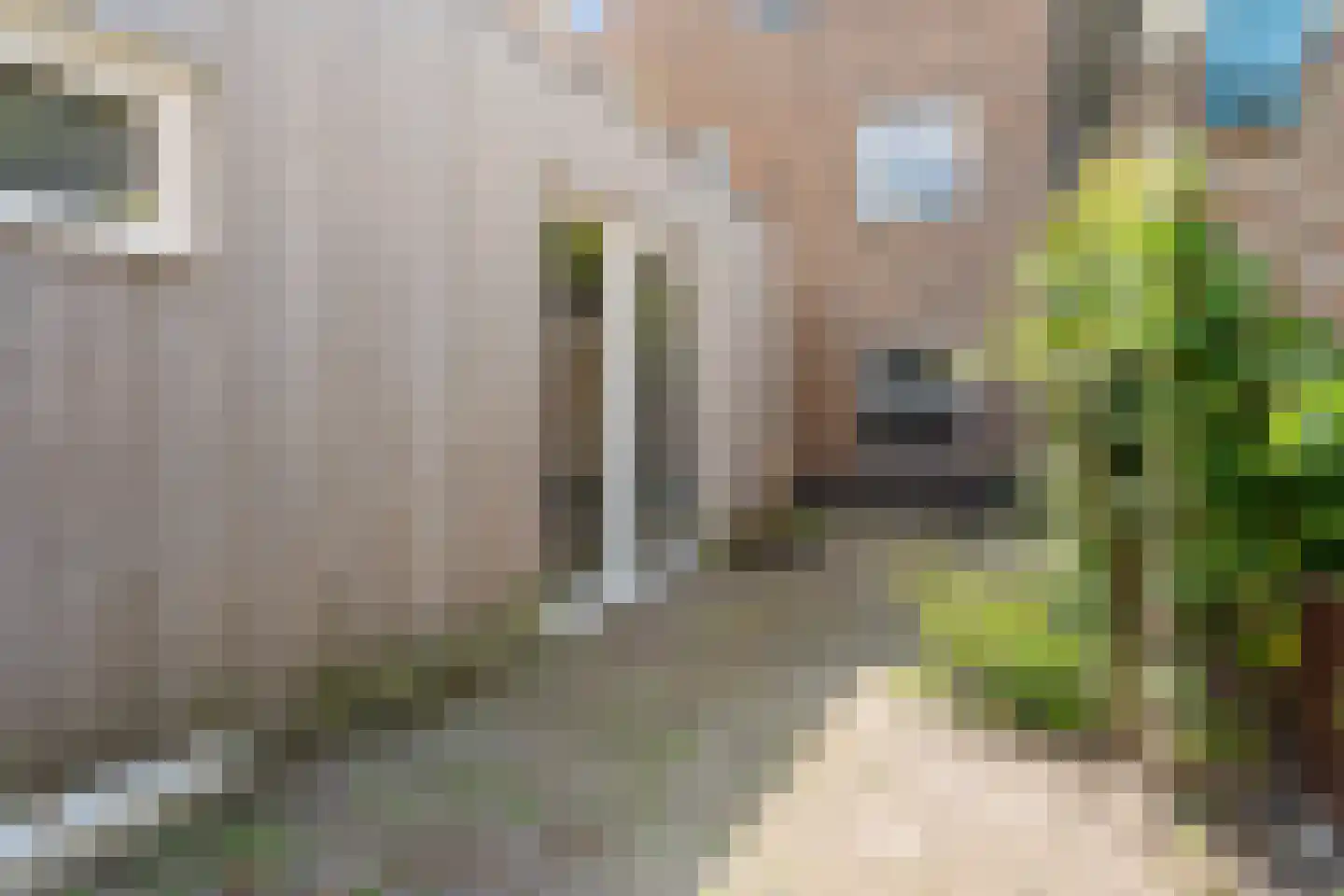 Sint Eustatius 4 Zoetermeer thumbnail 12