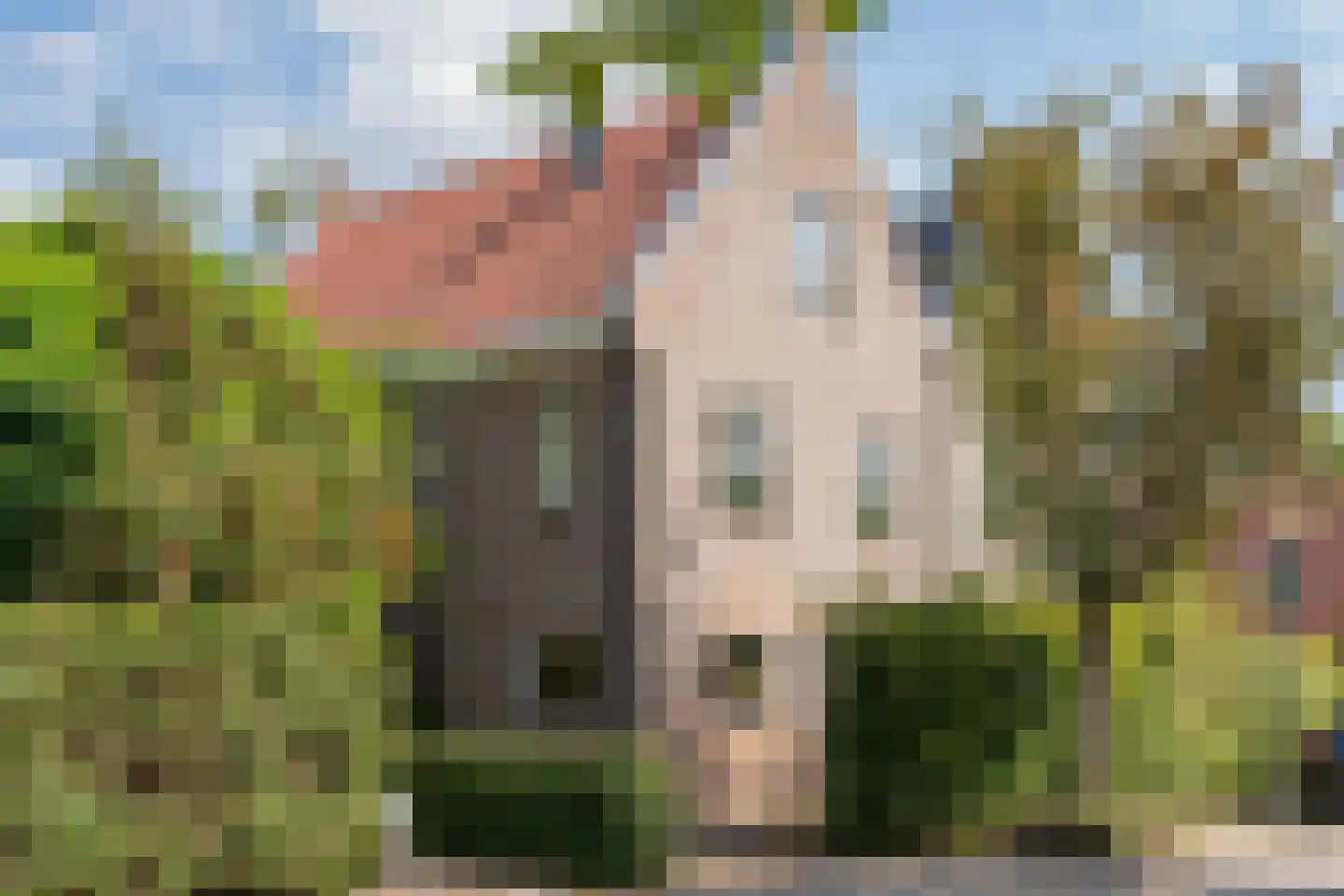 Sint Eustatius 4 Zoetermeer thumbnail 17