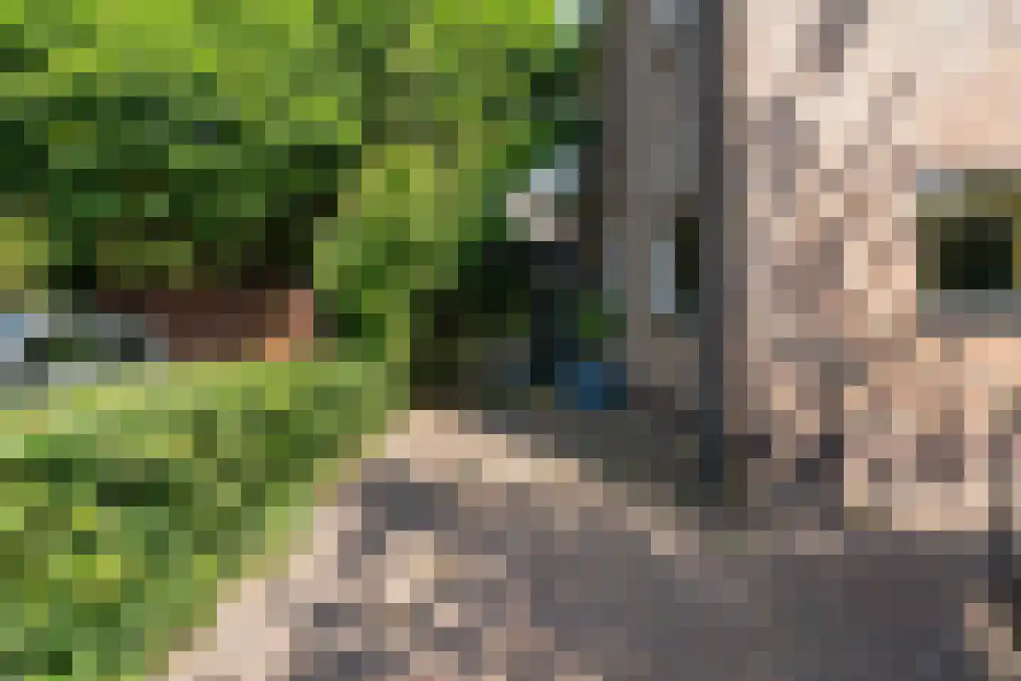 Sint Eustatius 4 Zoetermeer thumbnail 18