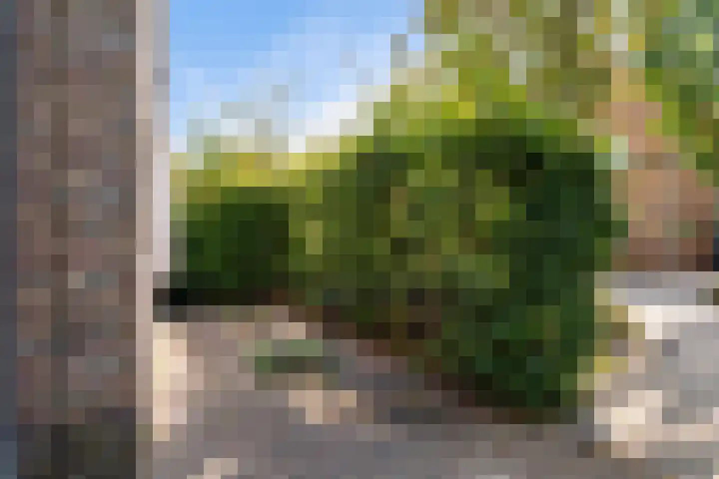 Sint Eustatius 4 Zoetermeer thumbnail 19