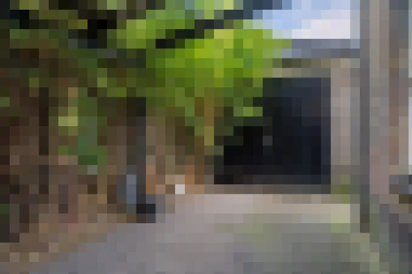 Sint Eustatius 4 Zoetermeer thumbnail 36