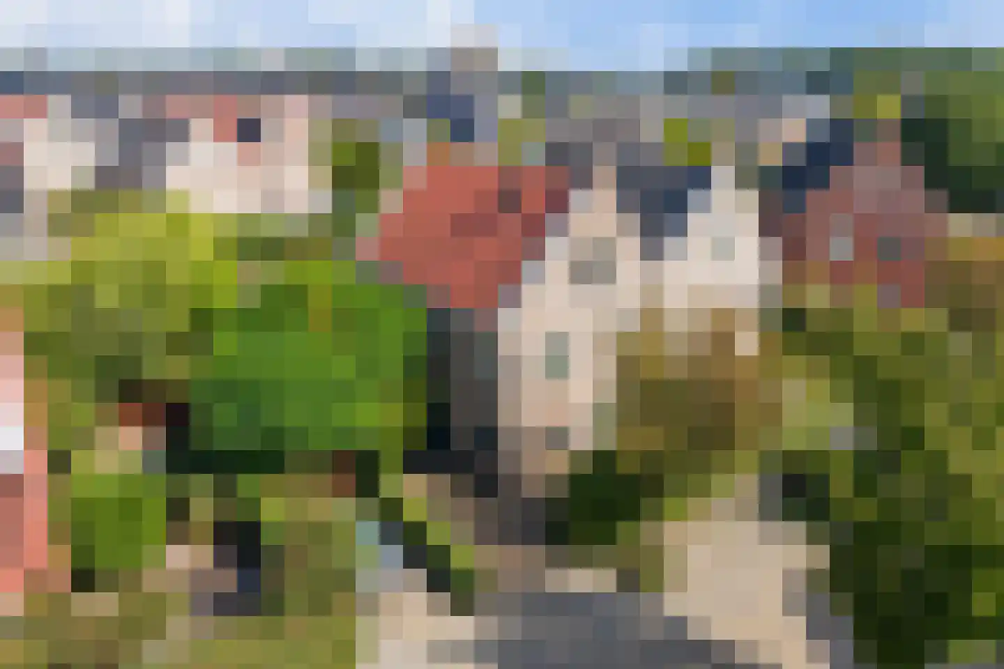 Sint Eustatius 4 Zoetermeer thumbnail 66