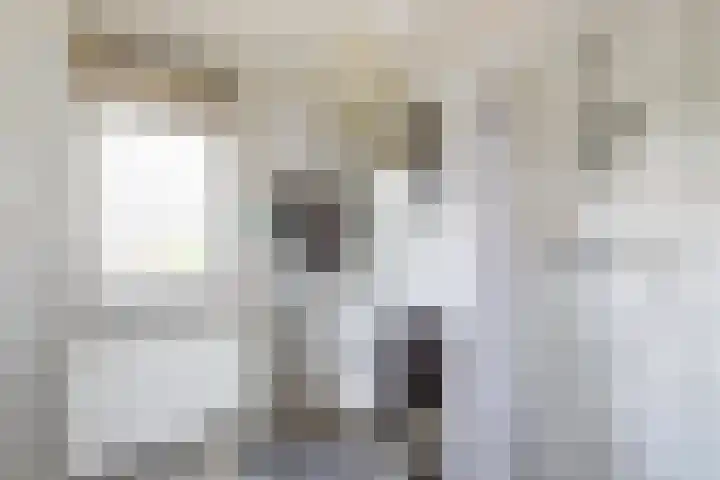 Sint Eustatiuslaan 4 Vlissingen thumbnail 21