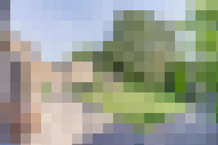 Sint Eustatiuslaan 4 Vlissingen thumbnail 24