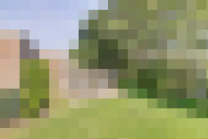Sint Eustatiuslaan 4 Vlissingen thumbnail 25