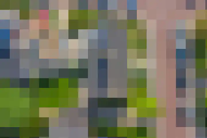 Sint Eustatiuslaan 4 Vlissingen thumbnail 27