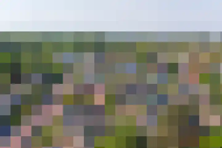 Sint Eustatiuslaan 4 Vlissingen thumbnail 28