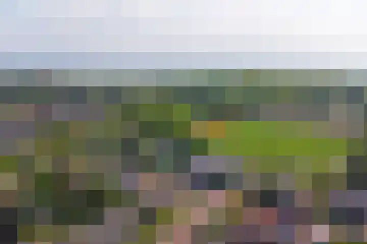 Sint Eustatiuslaan 4 Vlissingen thumbnail 32