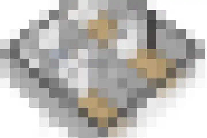 Sint Eustatiuslaan 4 Vlissingen thumbnail 36