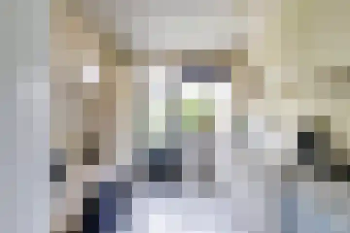 Sint Eustatiuslaan 4 Vlissingen thumbnail 6