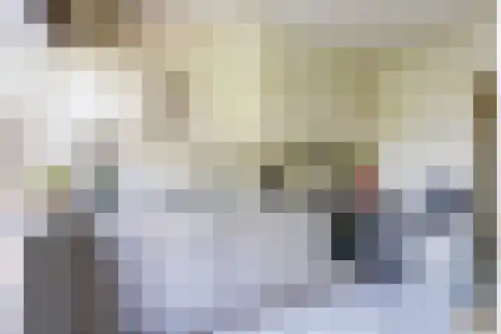 Sint Eustatiuslaan 4 Vlissingen thumbnail 8