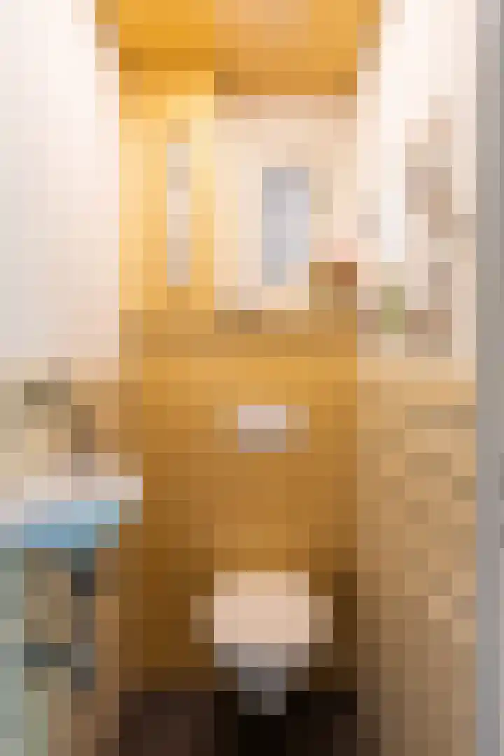 Sint Eustatiusstraat 11 Delft thumbnail 25