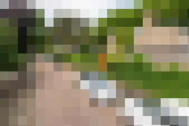 Sint Eustatiusstraat 11 Delft thumbnail 33