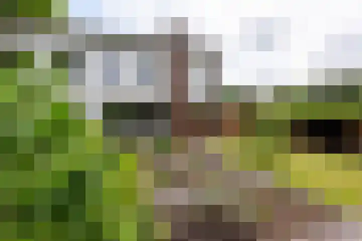 Sint Eustatiusstraat 11 Delft thumbnail 9