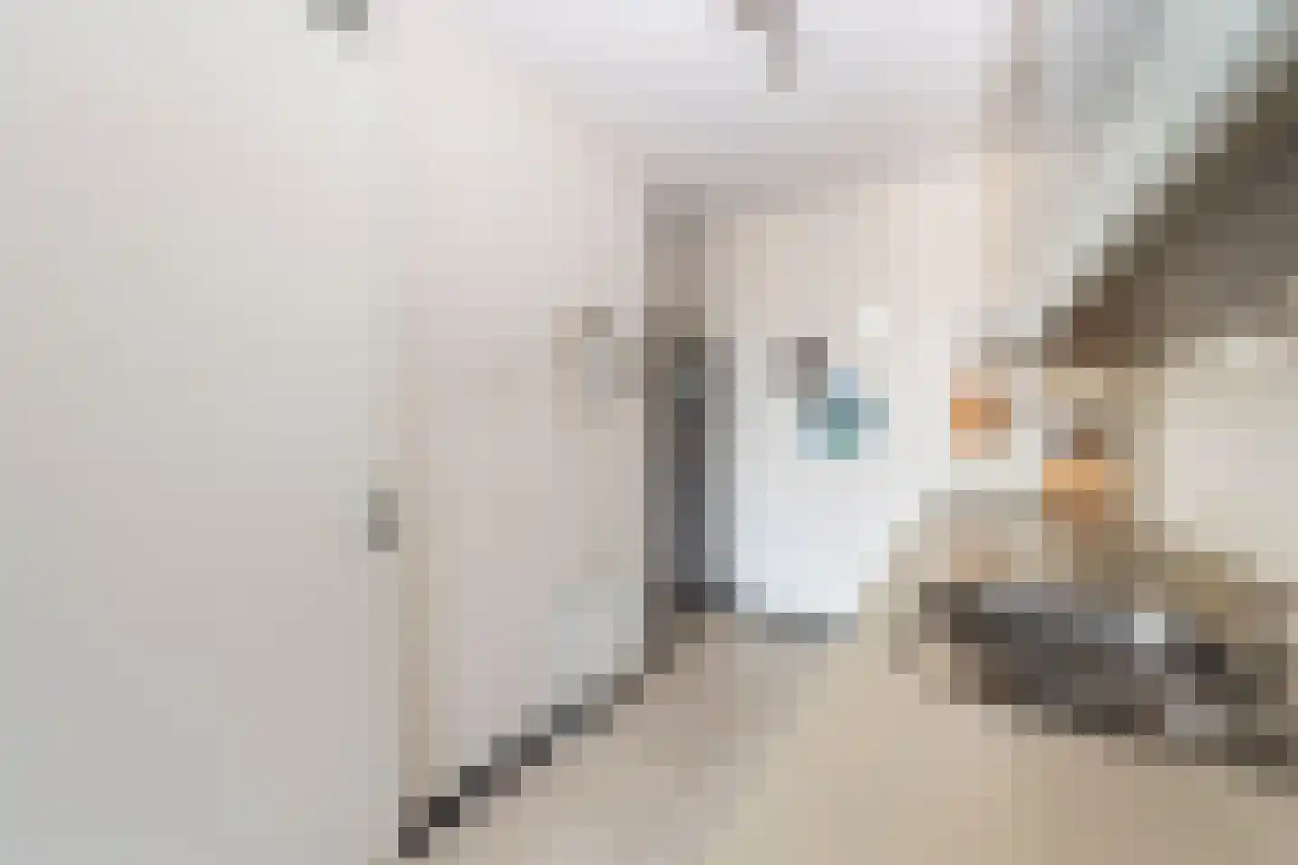Sint Eustatiusstraat 22 Tilburg thumbnail 7