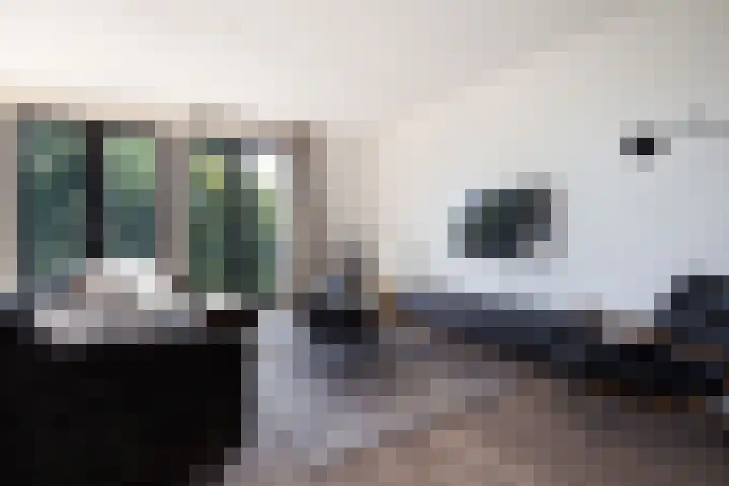 Sint Eustatiusstraat 28 Tilburg thumbnail 10