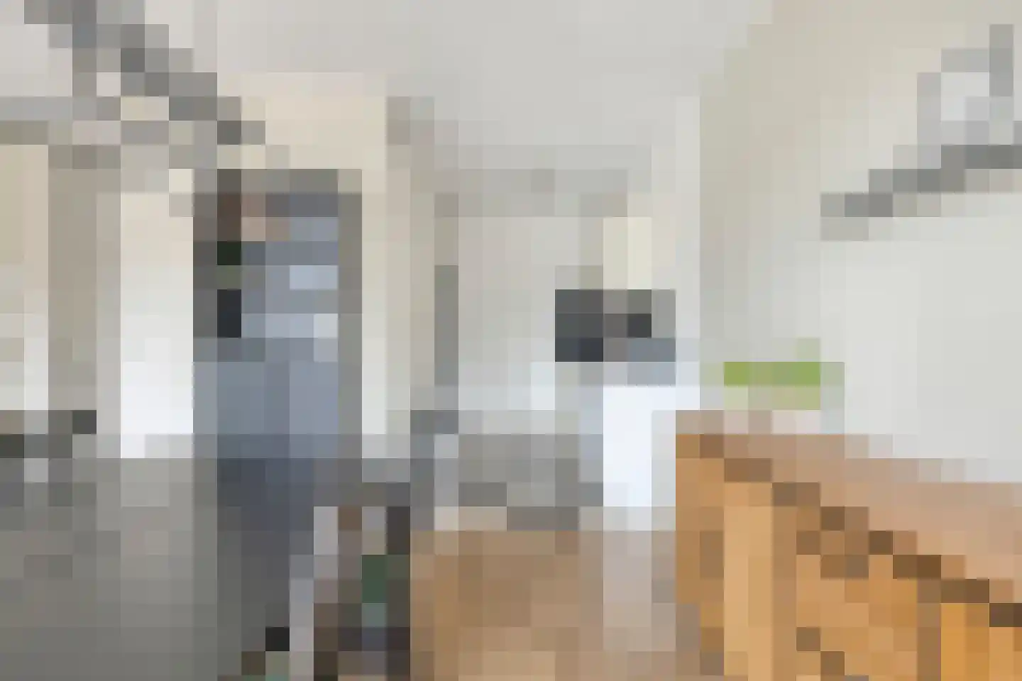 Sint Eustatiusstraat 6 Tilburg thumbnail 7