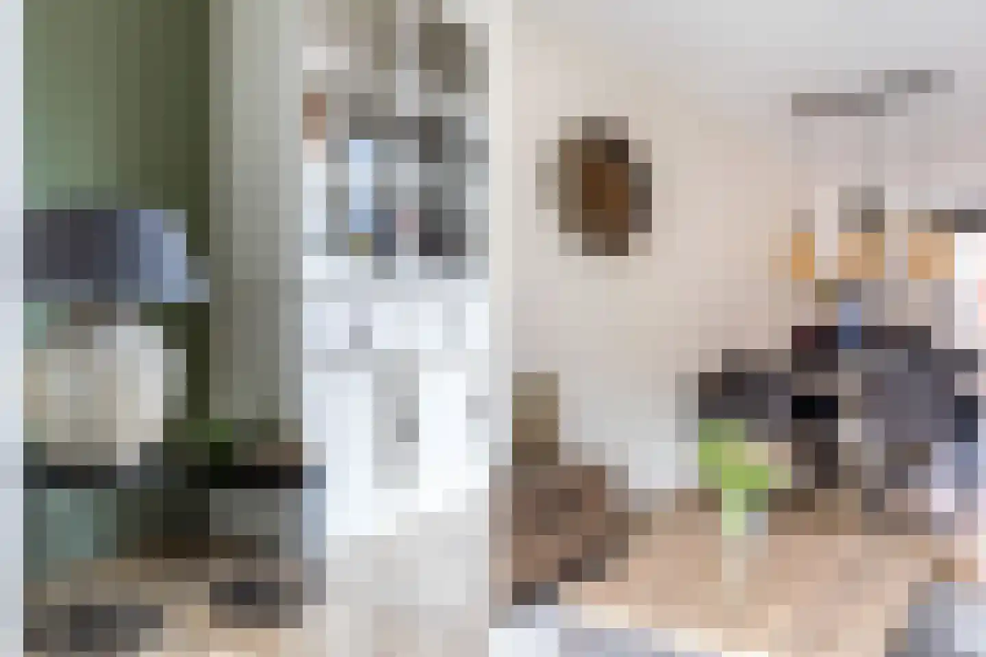 Sint Eustatiusstraat 66 Tilburg thumbnail 6
