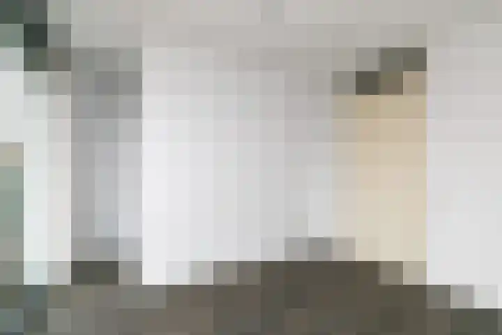 Sint Filippushof 18 Tilburg thumbnail 21