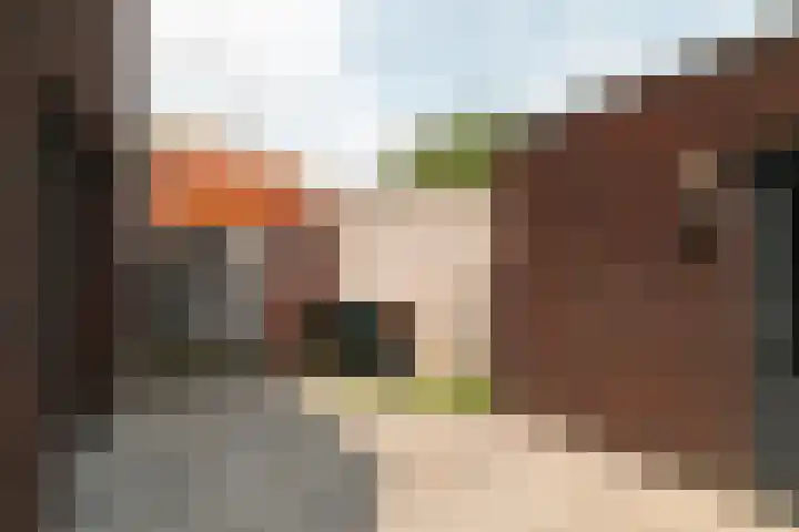 Sint Filippushof 18 Tilburg thumbnail 30