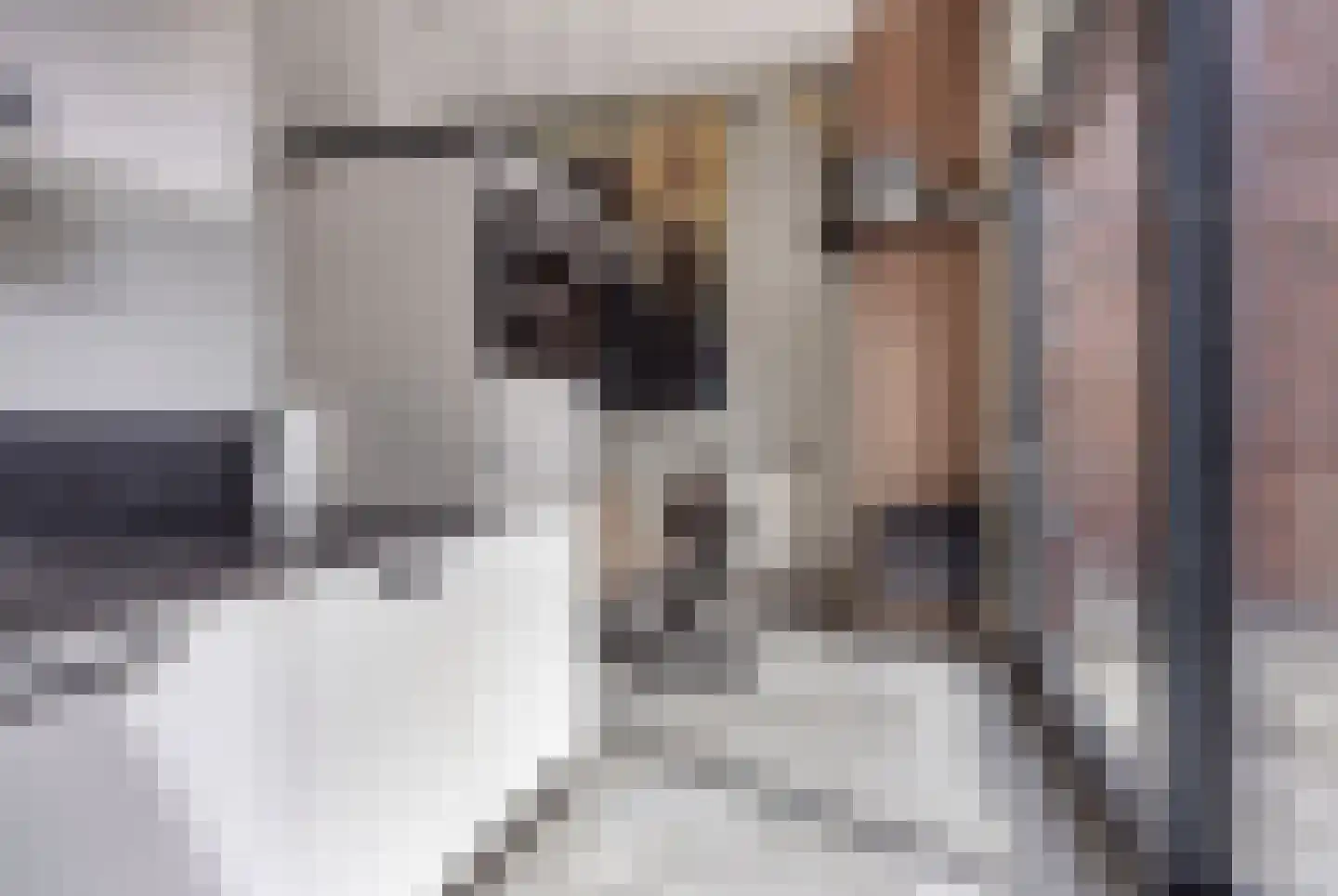 Sint Filippushof 22 Tilburg thumbnail 13