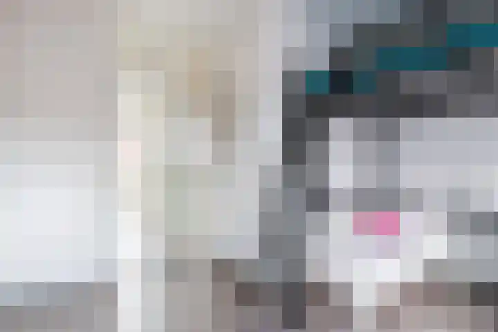 Sint Filippushof 5 Tilburg thumbnail 12