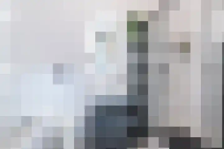 Sint Filippushof 5 Tilburg thumbnail 13