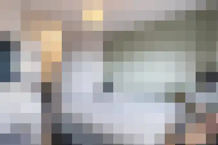 Sint Filippushof 5 Tilburg thumbnail 17