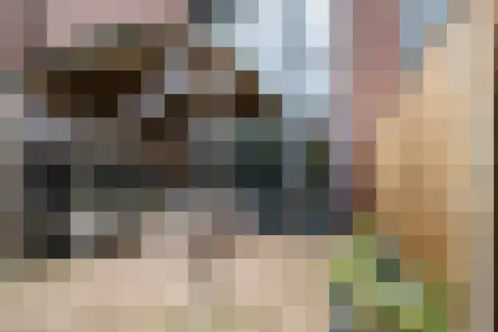 Sint Filippushof 5 Tilburg thumbnail 22