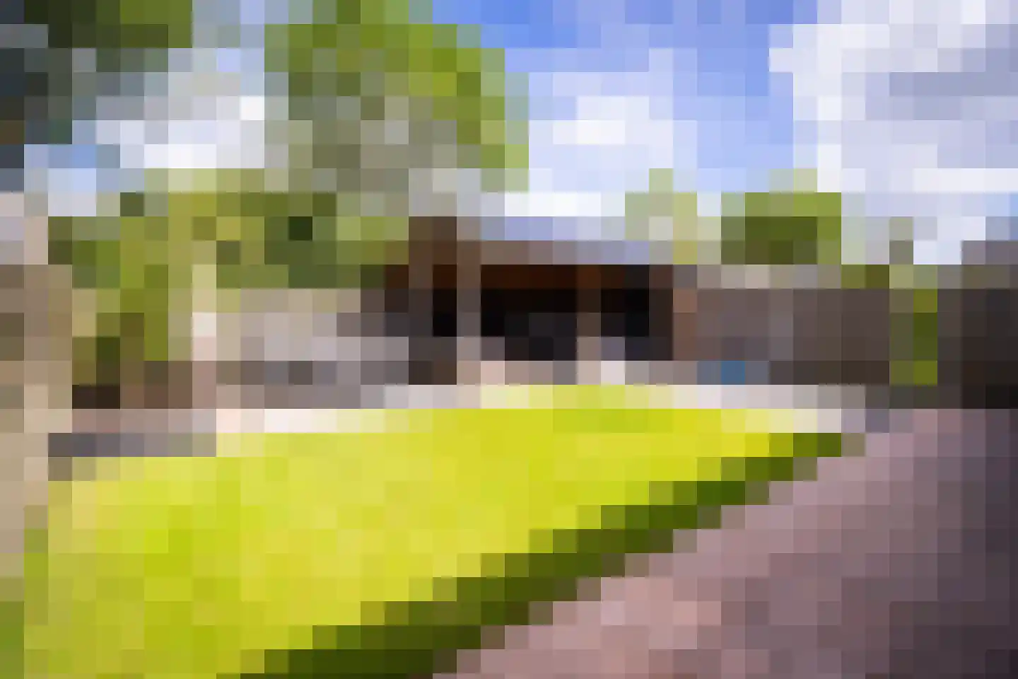 Sint Franciscuslaan 12 Wognum thumbnail 37