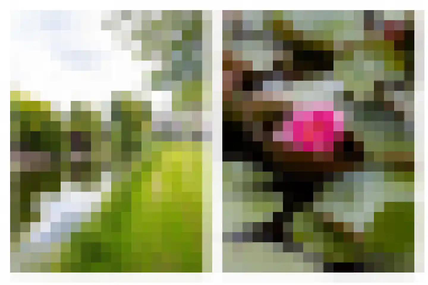 Sint Franciscuslaan 12 Wognum thumbnail 49