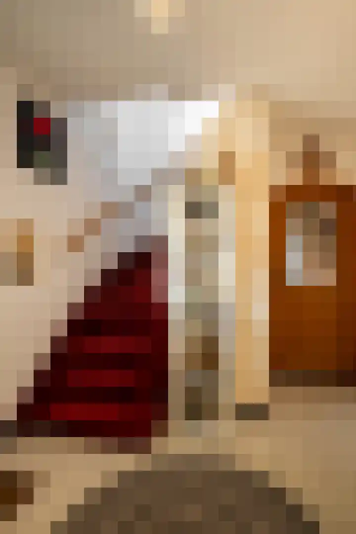 Sint Franciscusstraat 10 Urmond thumbnail 4