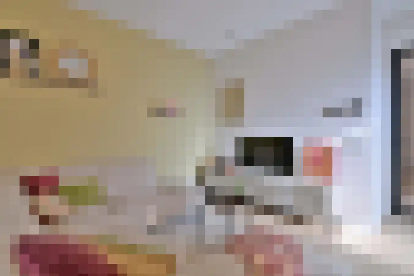 Sint Geertruidenhof 16 Deventer thumbnail 14