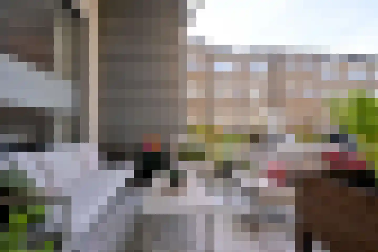 Sint Geertruidenhof 16 Deventer thumbnail 16
