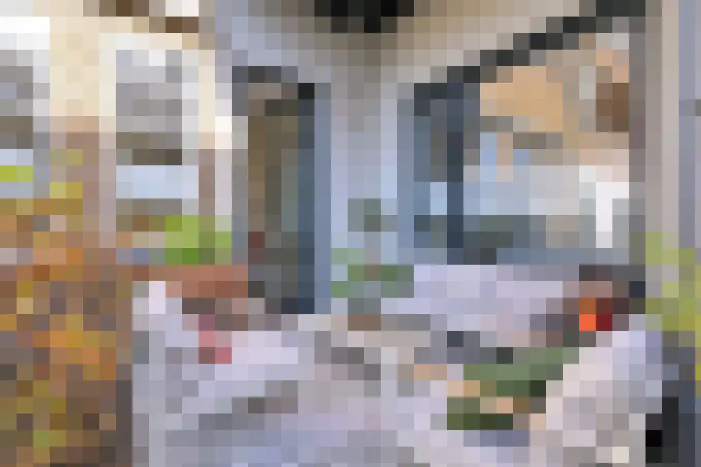 Sint Geertruidenhof 16 Deventer thumbnail 18